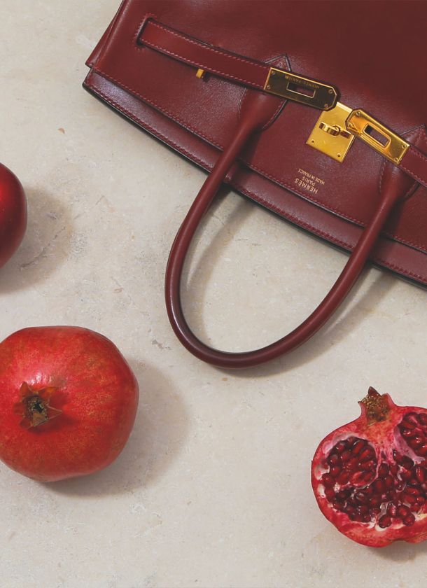 Know your Hermès Bags: An Expert's Guide