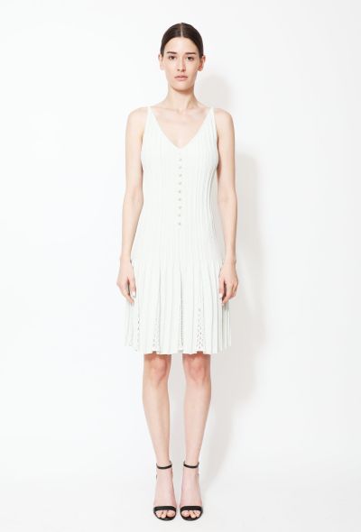                                         Pearl Pleated Skater Dress-2