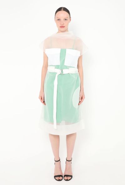 Céline Resort 2014 Organza Overlay Dress - 1 Céline Resort 2014 Organza Overlay Dress - 1
