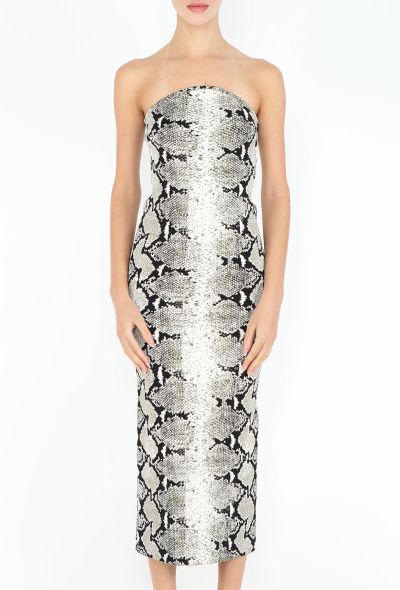 Khaite 2023 Roccia Snake Print Bodycon Dress - 2