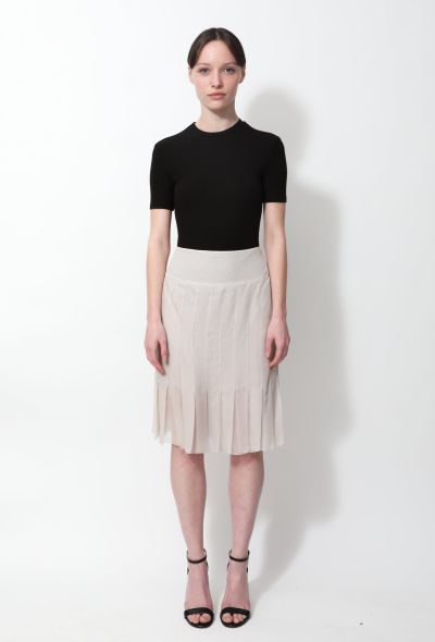                             2004 Silk Pleated Skirt - 1