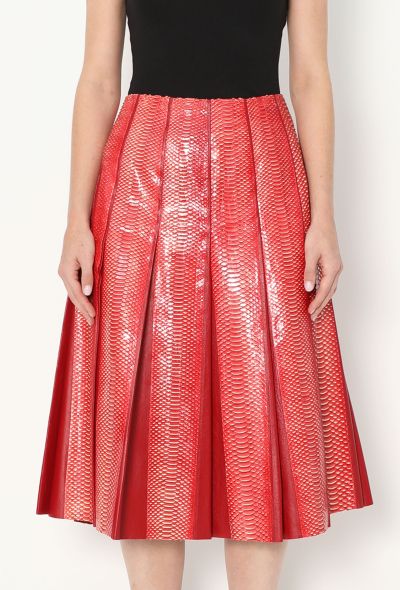 Céline Python Pleated Lambskin Skirt - 2 Céline Python Pleated Lambskin Skirt - 2