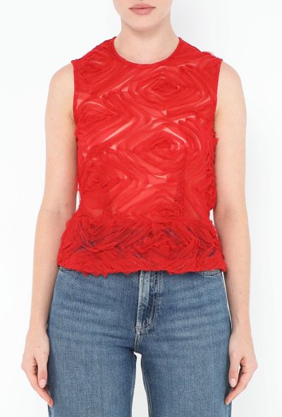 Comme des Garçons 2020 Tulle Peplum Top - 1