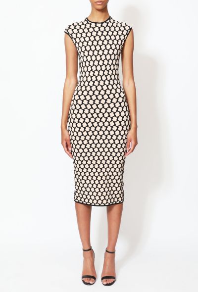 Alexander McQueen 2013 Honeycomb Intarsia Knit Dress - 2