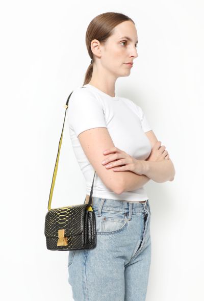 Céline Mini Classic Python Bag - 2