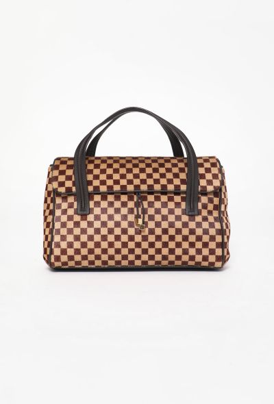 Louis Vuitton Damier Sauvage Lionne Bag - 1