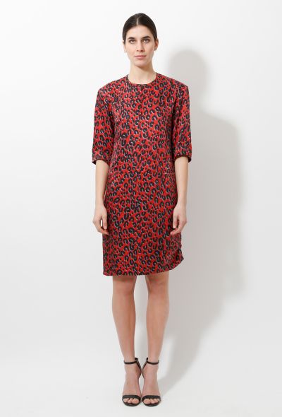 Louis Vuitton Stephen Sprouse Leopard Dress - 1