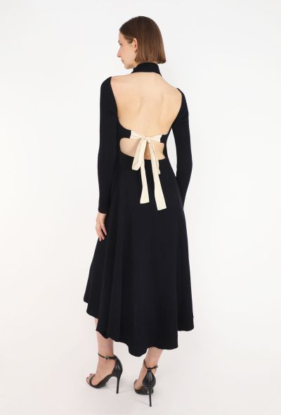 Céline Open-Back Knit Dress, F/W 2015 - 1