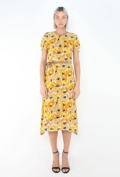 Prada Campaign F/W 2000 Poppy Chiffon Dress - 1