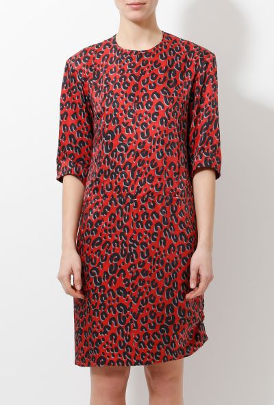 Louis Vuitton Stephen Sprouse Leopard Dress - 2