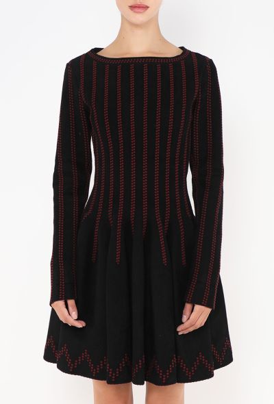 Alaïa Fall 2013 Embroidered Skater Dress - 2