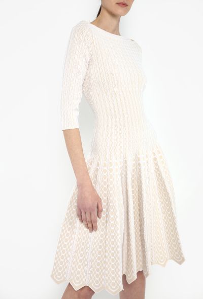 Alaïa S/S 2012 Embroidered Skater Dress - 1