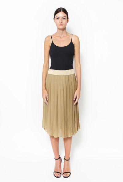                             Pleated Silk Chiffon Skirt - 1