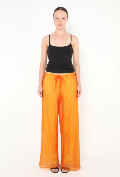 Etro Pleated Mesh Overlay Trousers - 2