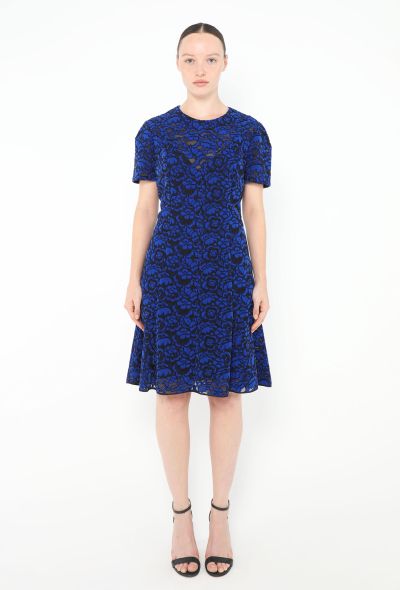 Louis Vuitton S/S 2017 Lace A-Line Dress - 1