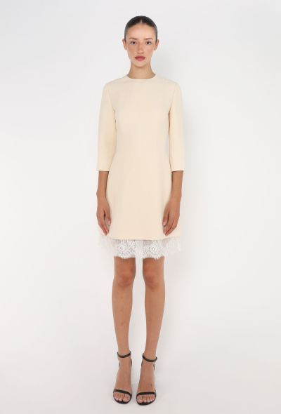 Dior 2016 Chantilly Trim Sheath Dress - 1