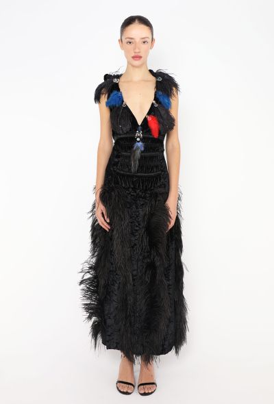 Sonia Rykiel F/W 2017 Ostrich Feather Velvet Gown - 1