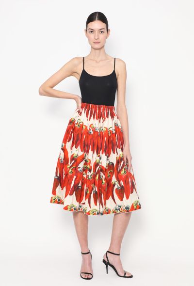 Dolce & Gabbana S/S 2012 Printed Cotton Skirt - 1 Dolce & Gabbana S/S 2012 Printed Cotton Skirt - 1