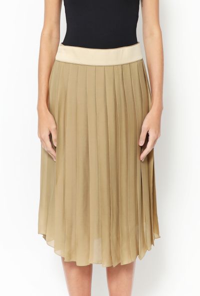                             Pleated Silk Chiffon Skirt - 2