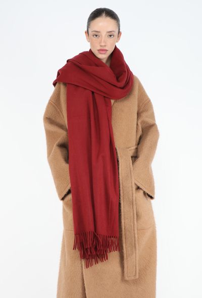 Hermès Felted Cashmere Fringe Shawl - 1