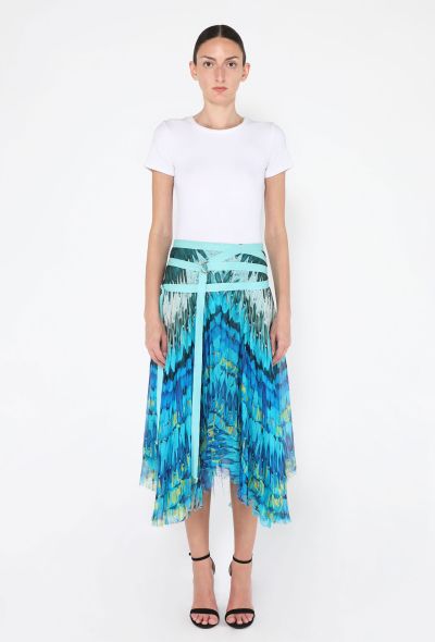 Alexander McQueen 'Irere' Feather Printed Skirt, S/S 2003 - 1