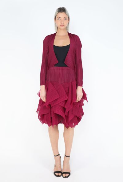 Issey Miyake Pleats Please Ruffled Skirt Ensemble - 2
