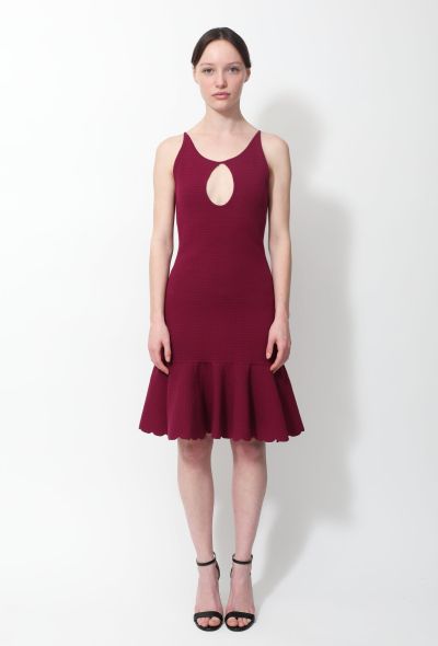                             S/S 2012 Cut-Out Flared Knit Dress - 1