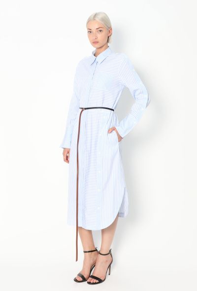 Altuzarra S/S 2020 Belted Pinstripe Dress - 1 Altuzarra S/S 2020 Belted Pinstripe Dress - 1