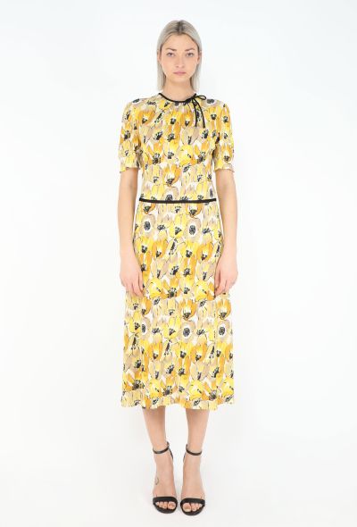 Prada Re-Edition F/W 2000 Poppy Dress - 1