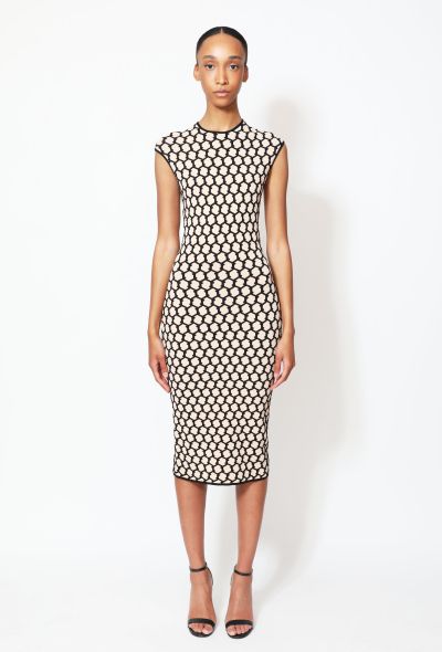 Alexander McQueen 2013 Honeycomb Intarsia Knit Dress - 1