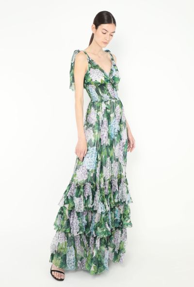 Dolce & Gabbana 2017 Ortensia Ruffled Chiffon Gown - 2 Dolce & Gabbana 2017 Ortensia Ruffled Chiffon Gown - 2