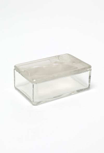 Exquisite Vintage Mythical Frosted Glass Case - 2