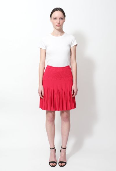                             Pleated Knit Mini Skirt - 1