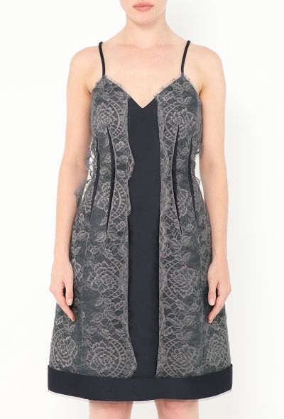 Lanvin 2012 'Les 10 ans' Lace Appliqué Dress - 2 Lanvin 2012 'Les 10 ans' Lace Appliqué Dress - 2