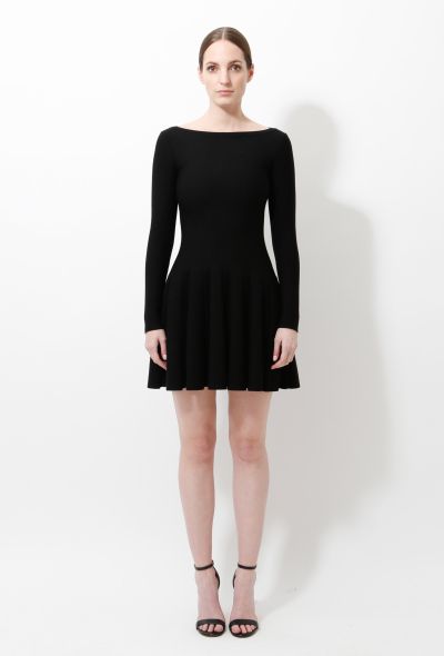                                         Classic Knit Pleated Skater Dress -2