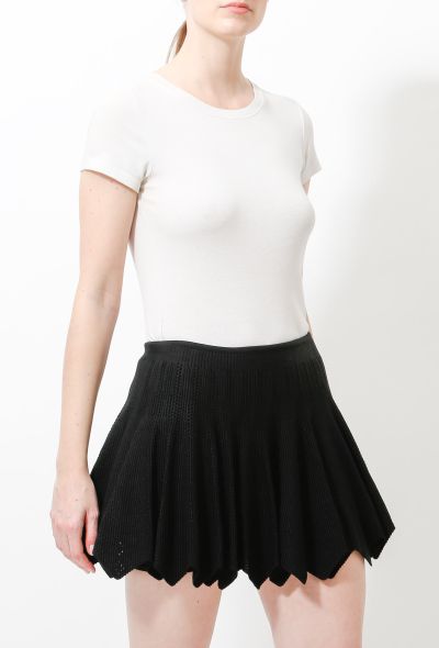                             Perforated Knit Pleated Skirt - 1
