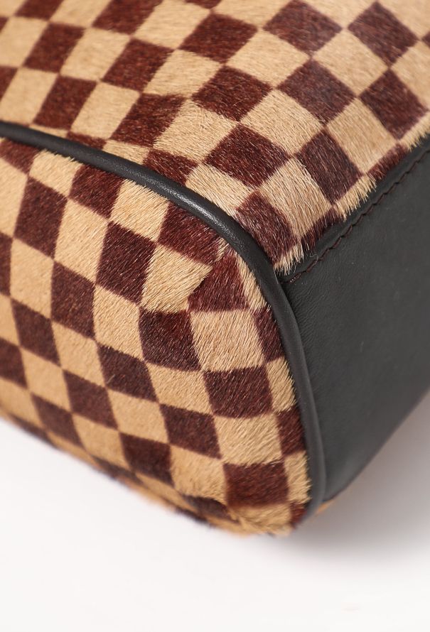 Louis Vuitton Damier Sauvage Lionne Bag - 9