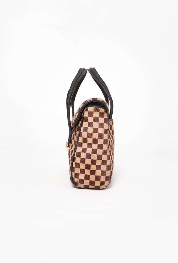 Louis Vuitton Damier Sauvage Lionne Bag - 5