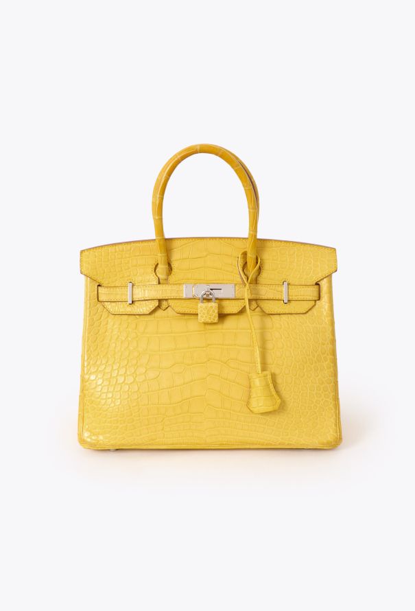 Hermès Exceptional Matte Mimosa Alligator Birkin 30 - 1