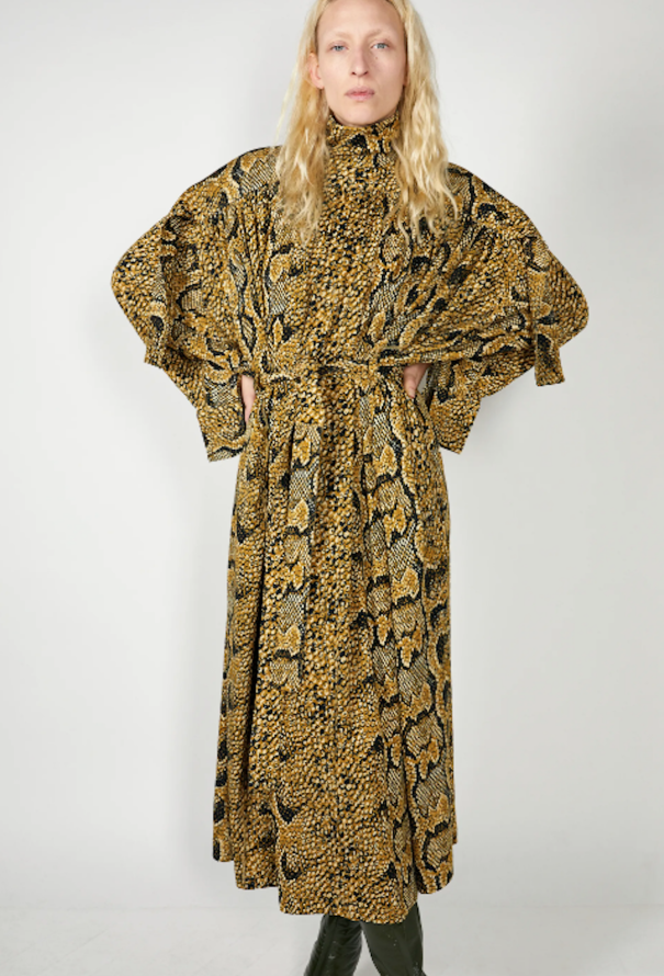 Céline Pre-Fall 2018 Belted Snake Dress - 2 Céline Pre-Fall 2018 Belted Snake Dress - 2