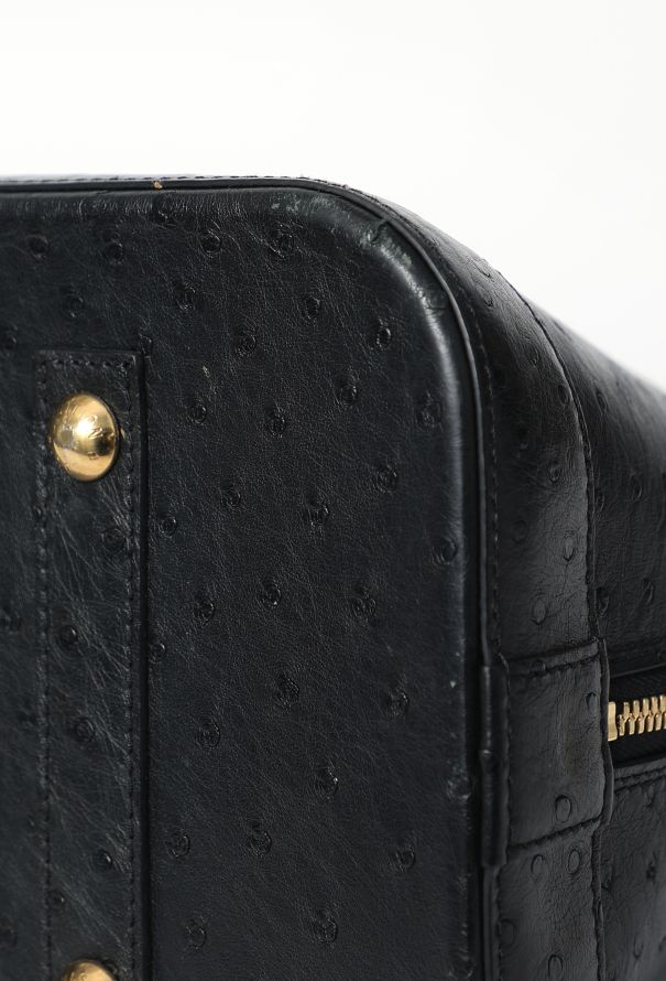 Louis Vuitton Ostrich Alma GM Bag - 8