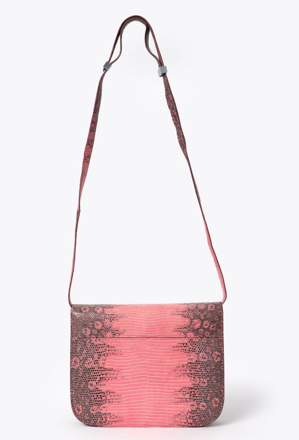 Céline Classic Varanus Salvator Lizard  Bag - 5 Céline Classic Varanus Salvator Lizard  Bag - 5