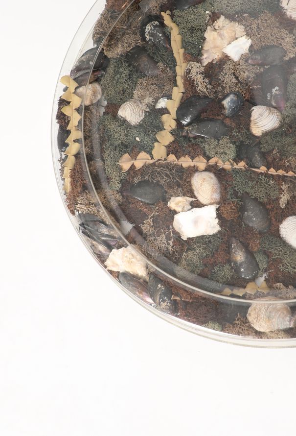 Dior '70s Casted Seashell Platter - 4 Dior '70s Casted Seashell Platter - 4