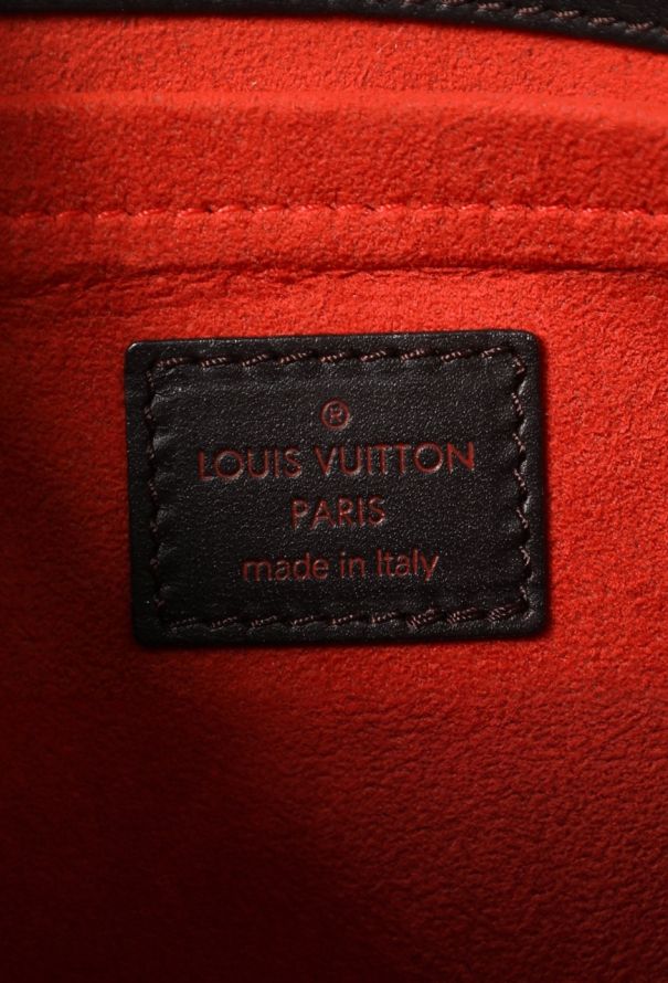 Louis Vuitton Damier Sauvage Lionne Bag - 13