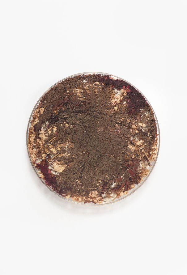 Dior Vintage Casted Flowers Platter - 3