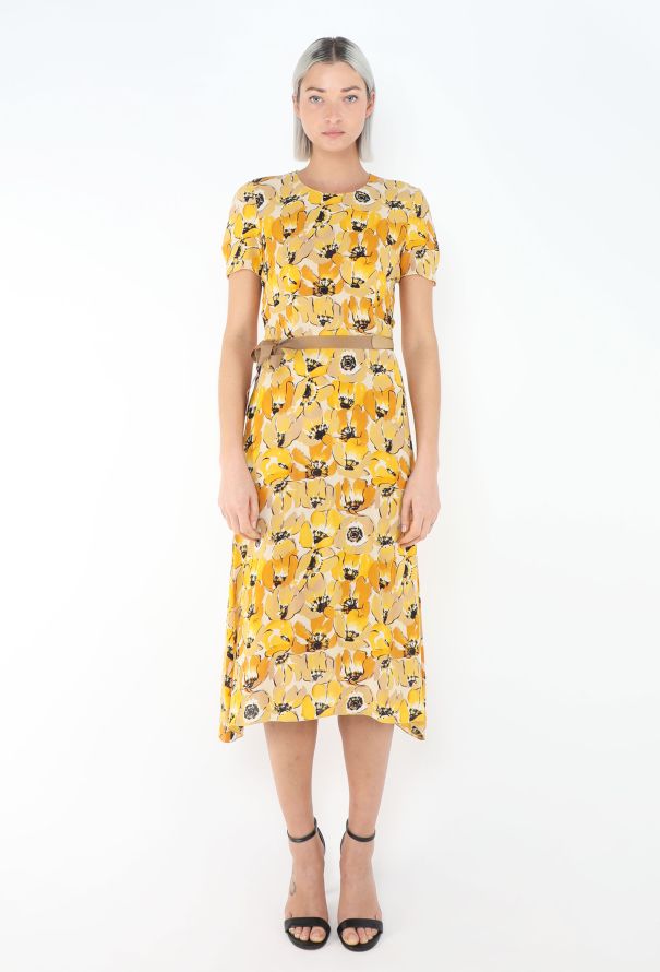 Prada Campaign F/W 2000 Poppy Chiffon Dress - 1