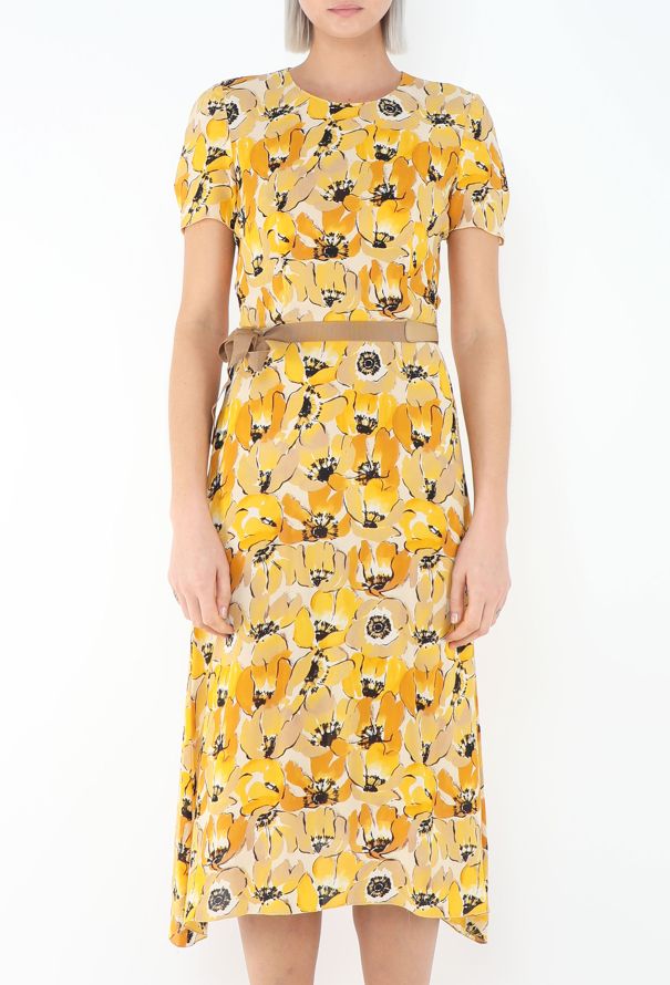 Prada Campaign F/W 2000 Poppy Chiffon Dress - 3