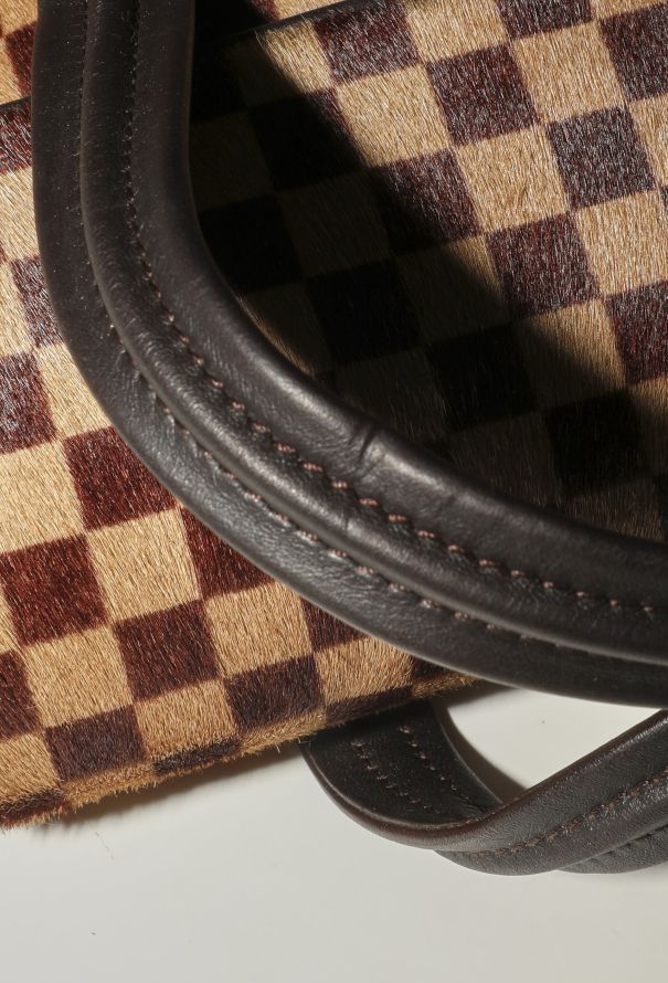 Louis Vuitton Damier Sauvage Lionne Bag - 11