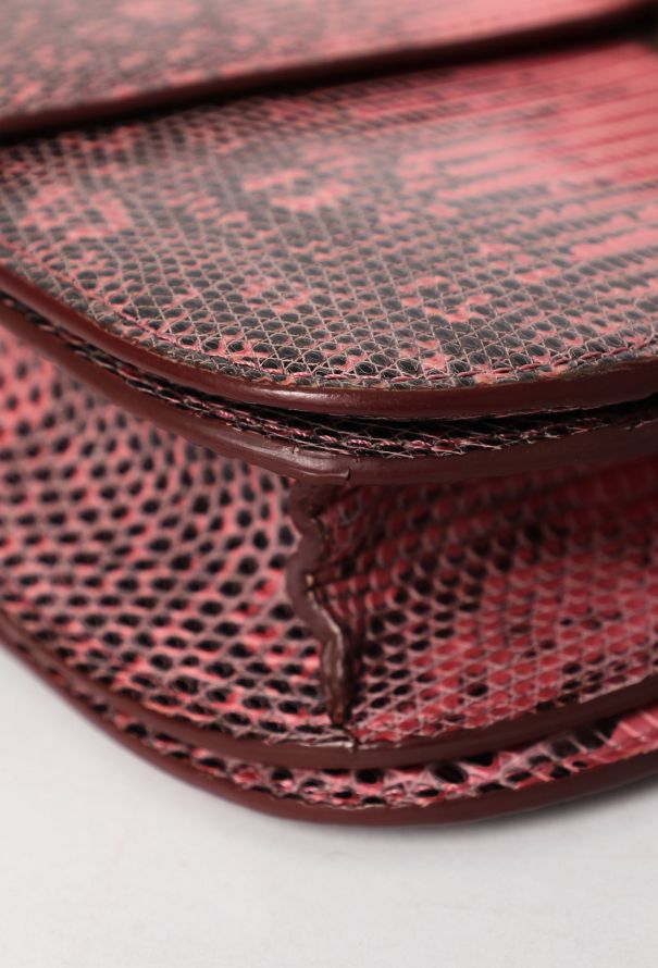 Céline Classic Varanus Salvator Lizard  Bag - 7 Céline Classic Varanus Salvator Lizard  Bag - 7