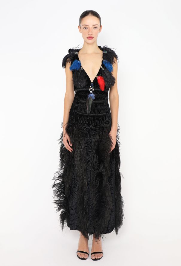 Sonia Rykiel F/W 2017 Ostrich Feather Velvet Gown - 1